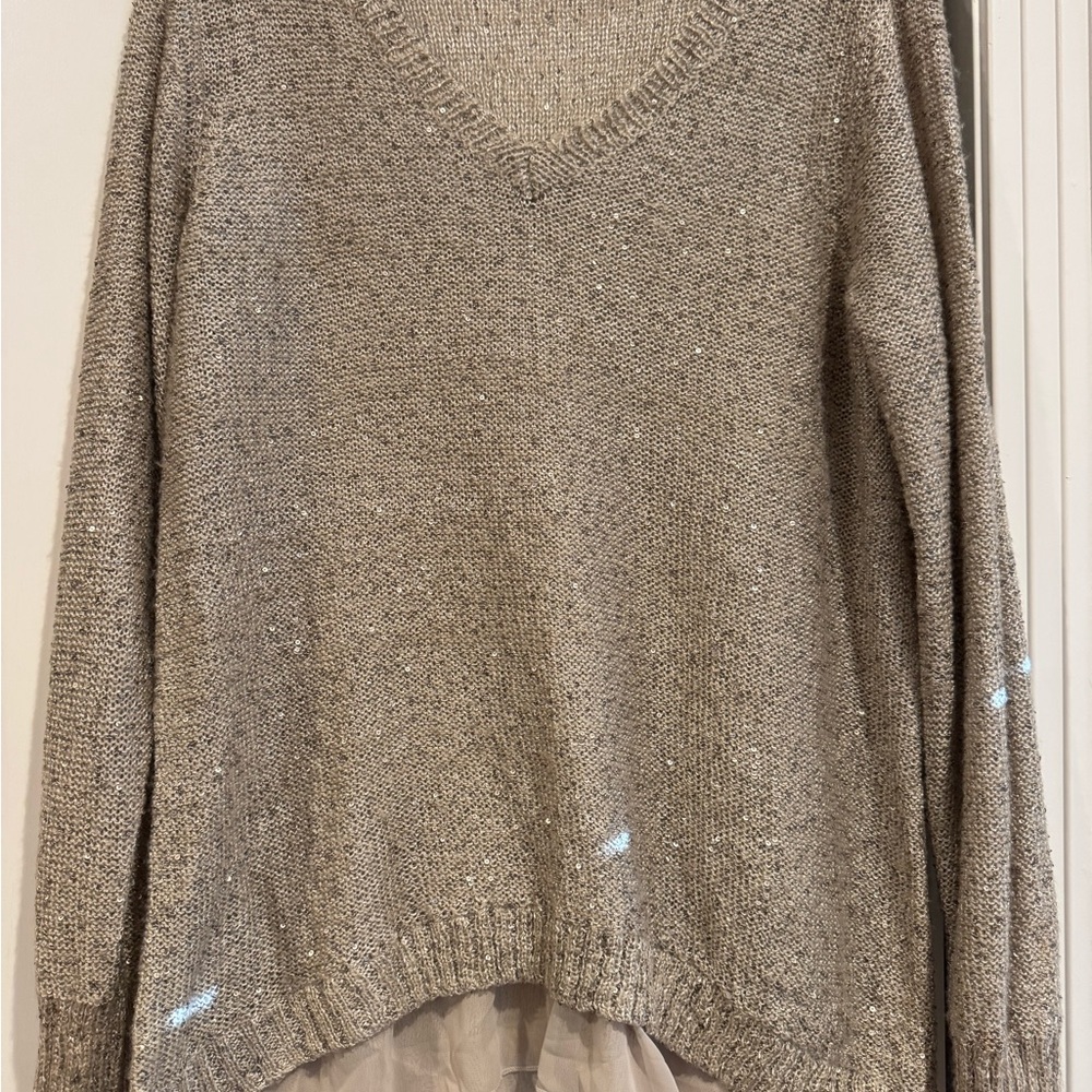 The Limited V-Neck Sequin Champagne Sweater